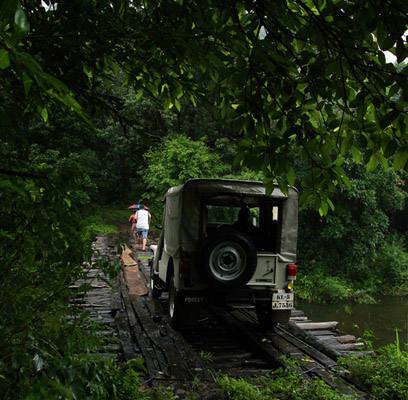 thekkady jungle safari booking